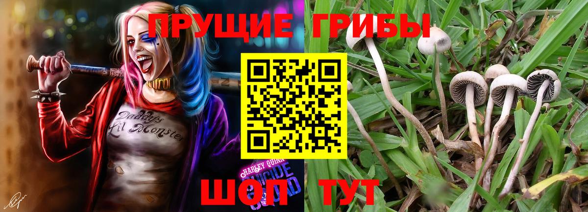 Псилоцибиновые грибы мицелий  Вход с VPN  Галлюциногенные грибы MAGIC MUSHROOMS  Можайск 